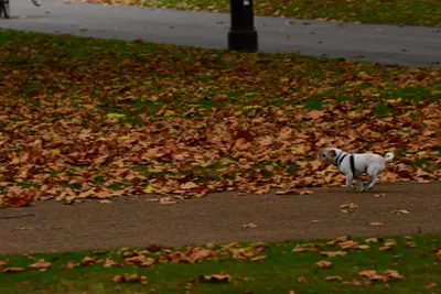 DSC_0673 (Large).JPG